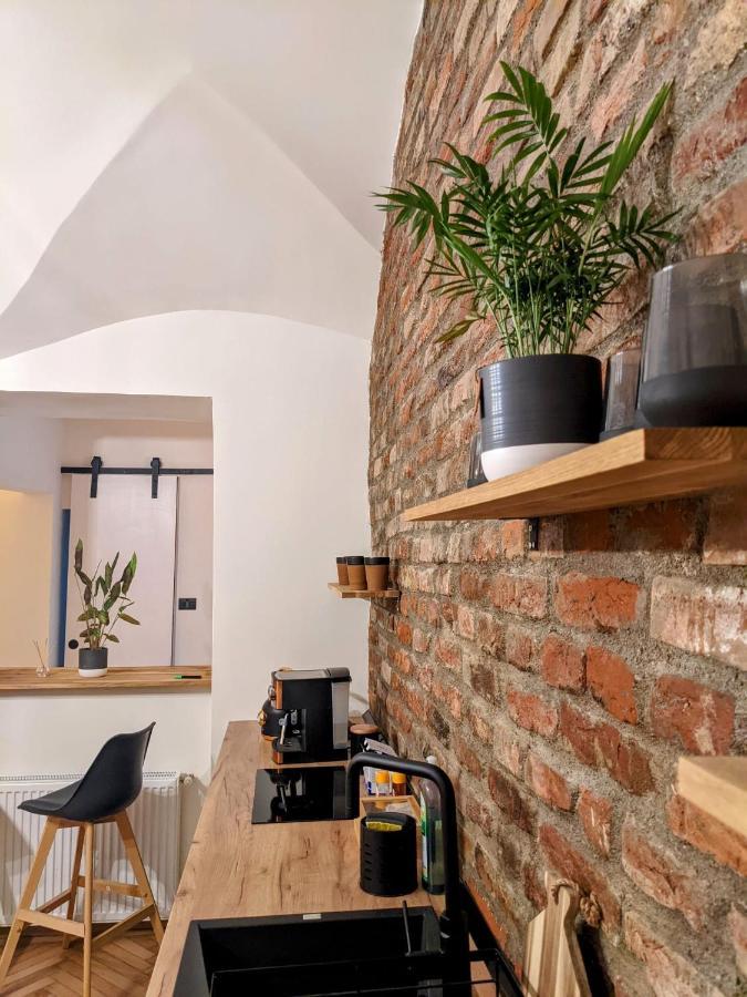 The Industrique Home - 3 Bedroom Apartment Timisoara Bagian luar foto